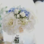 Logo Floraria Provence